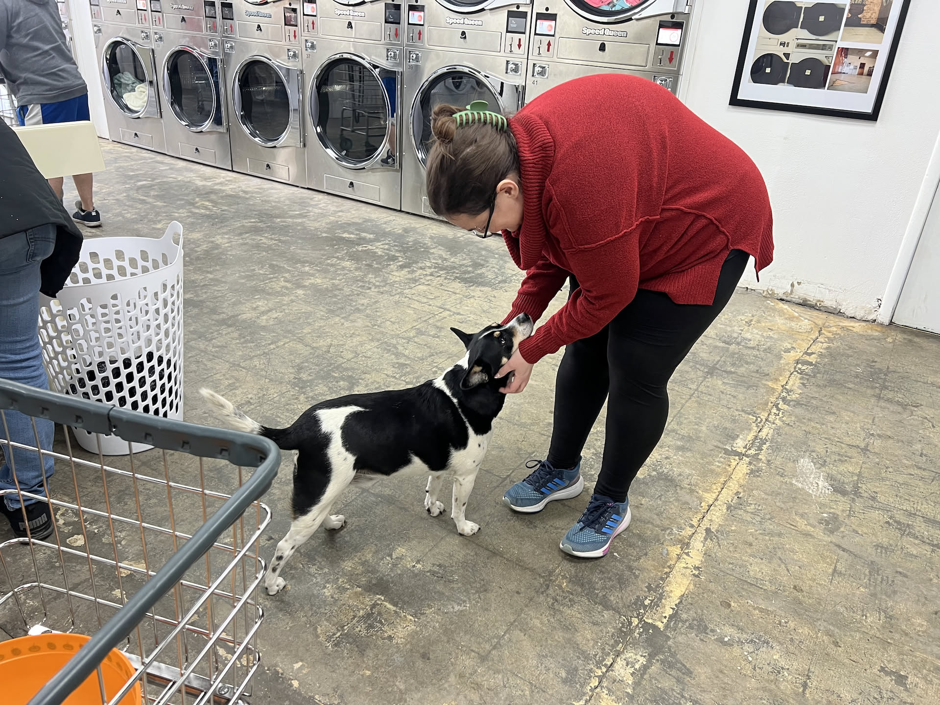 Teton Cleaners is a pet friendly business, and one of our customers brought in their dog.