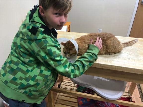 Took Tater to his vet appointment today… He was able to get the tubes pulled and his cone off! He was not happy to be there though.