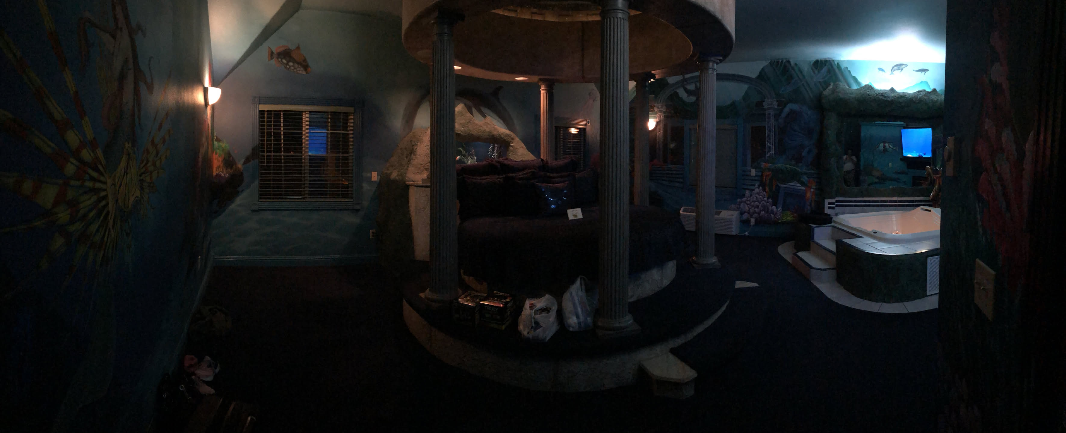 After work, Deanna surprised Nick with taking him to a theme’d hotel for the evening… this is Atlantis.