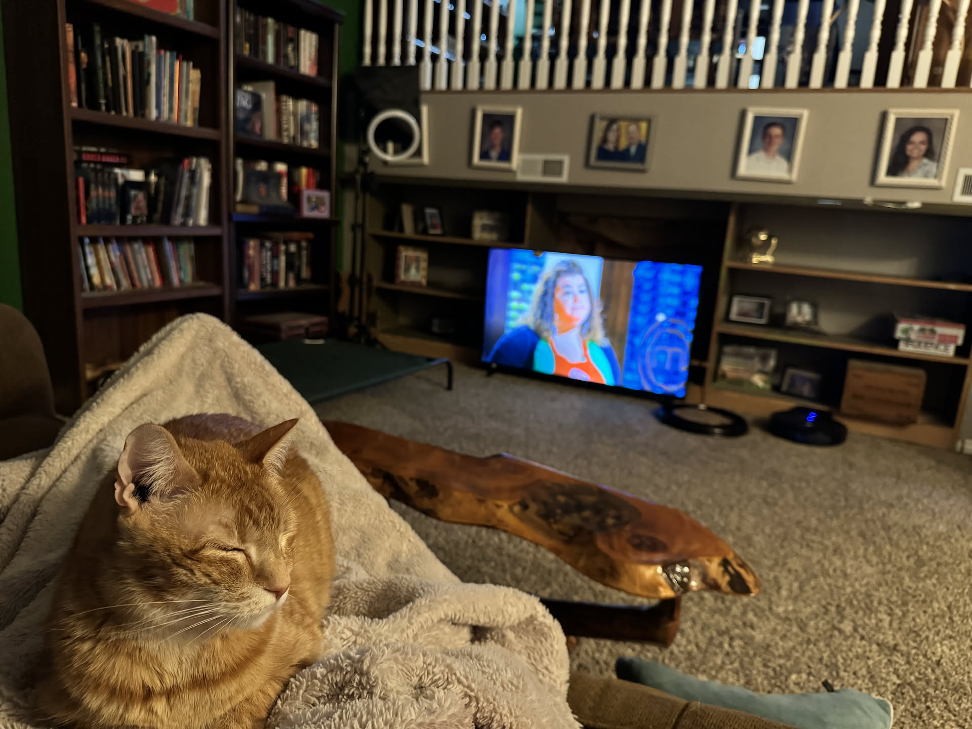 Tater is cuddling her while she watched Master Chef.