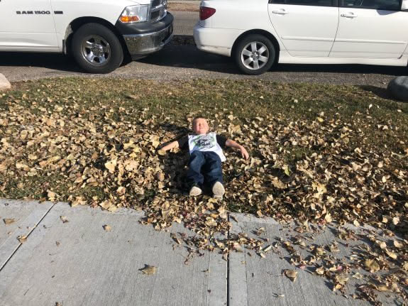 Blew some leaves today… Ethan jumped in them and started playing… this is his face when I started blowing the leaves toward him lol.