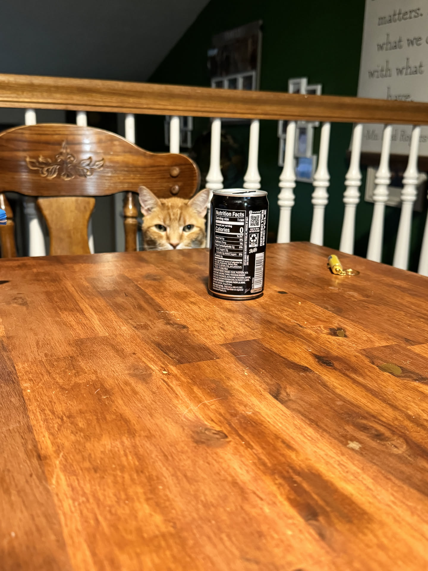 Tater is waiting for his meal.