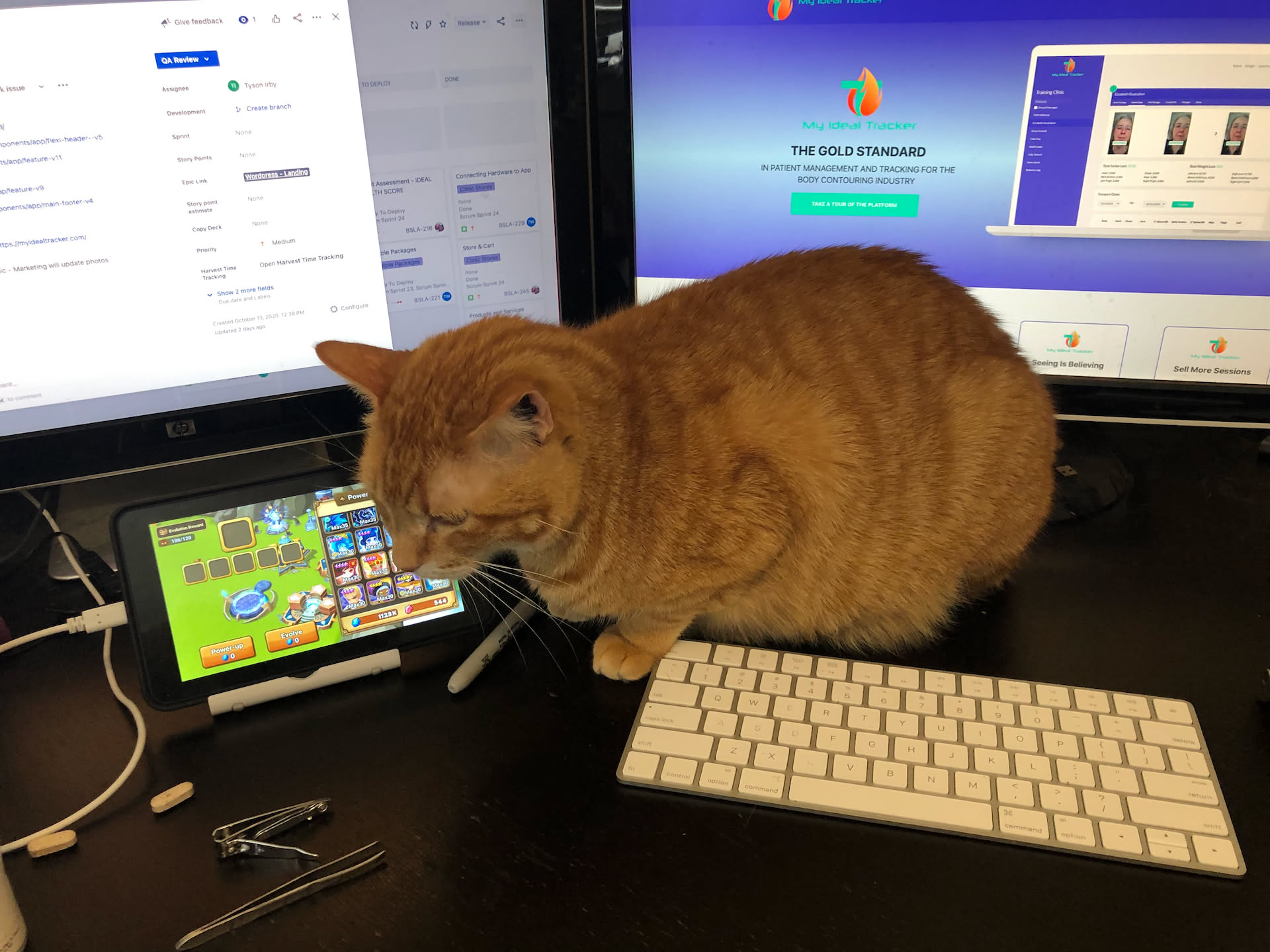 Tater is being a loaf and in my way today.