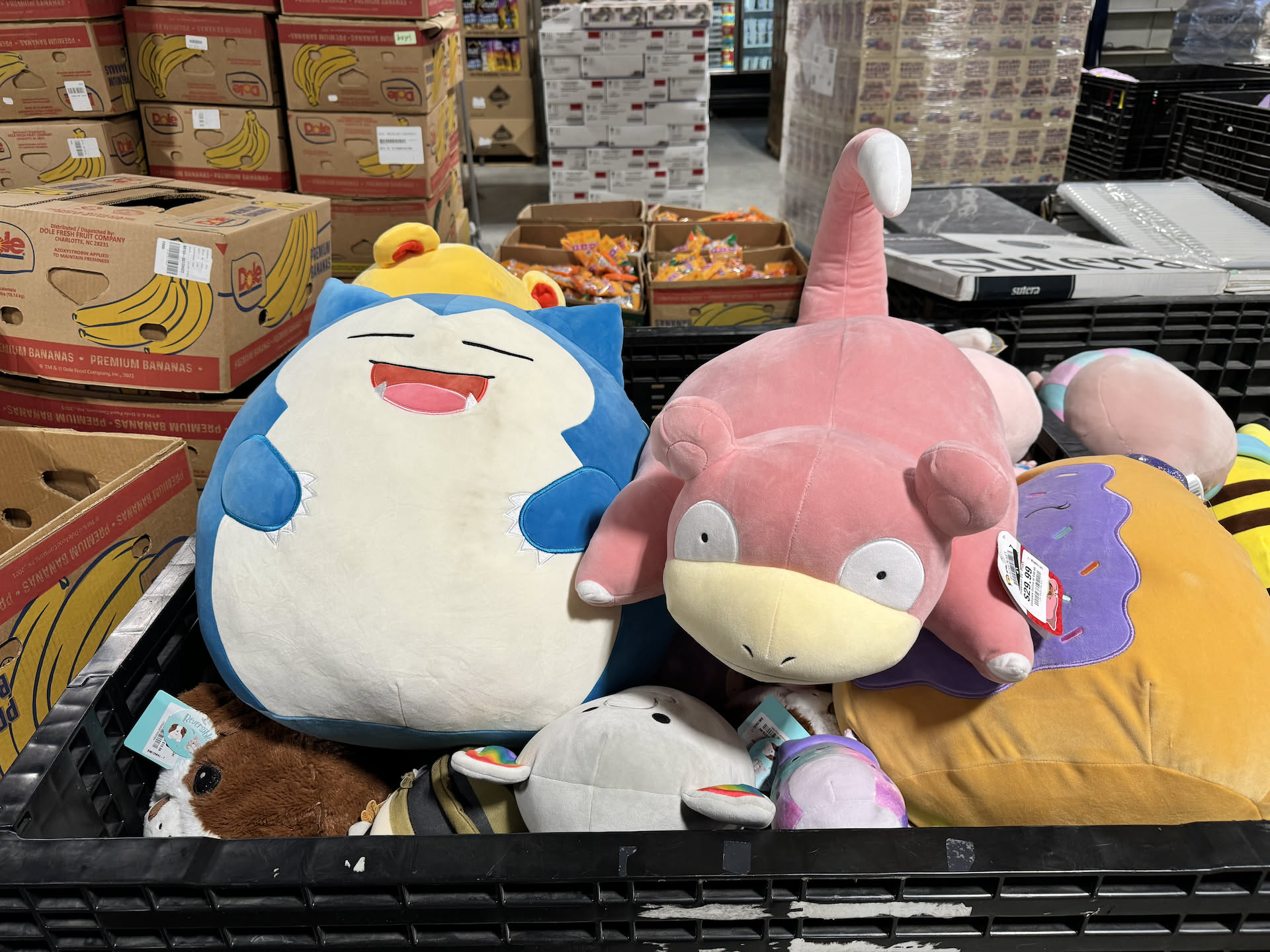 The new Big Deal Outlet opened today, so Deanna and Nick went to check it out… Deanna found these two cute Pokemon that she sent to Emilie.
