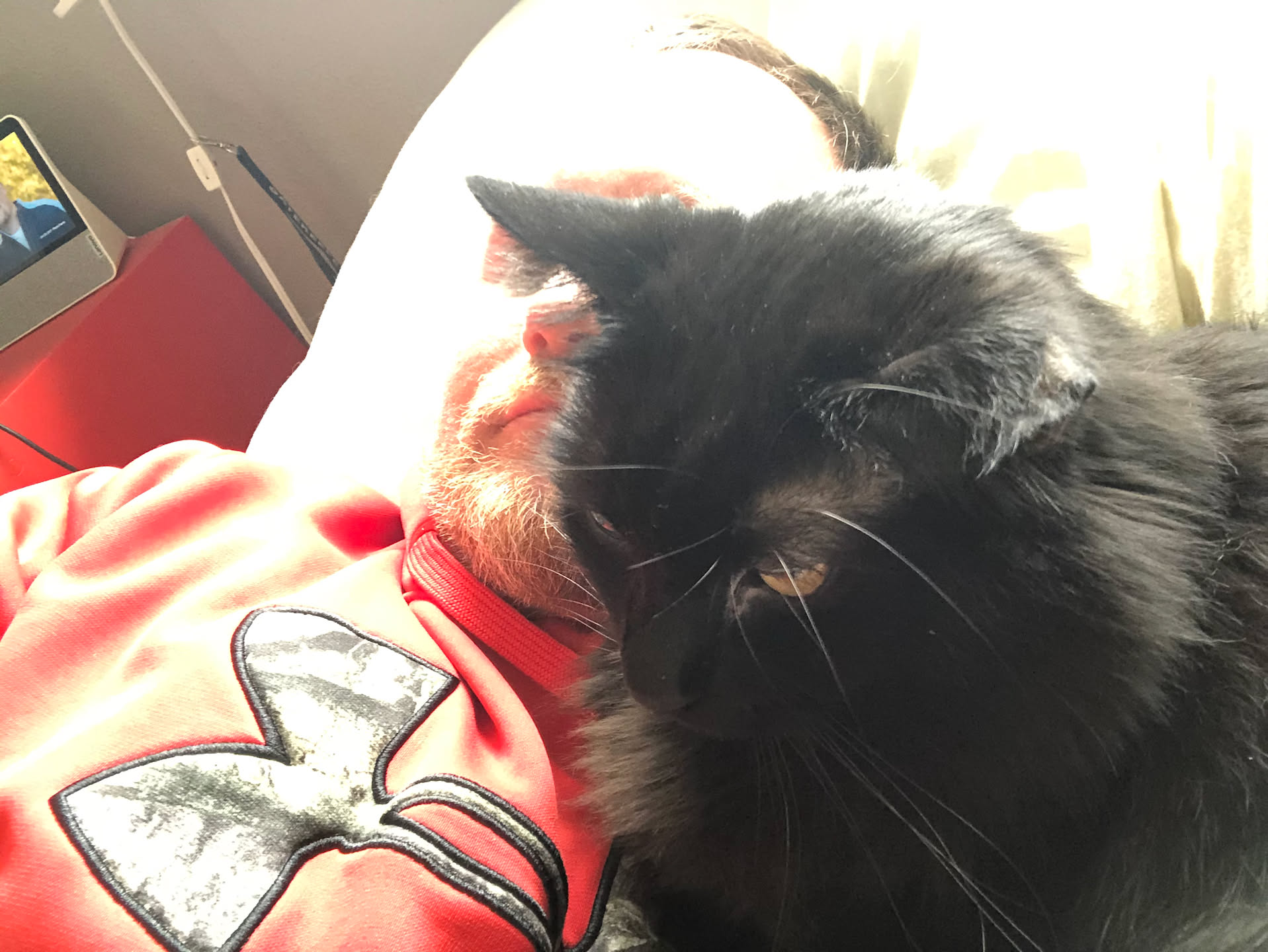 Nap time with the cuddliest of boys.