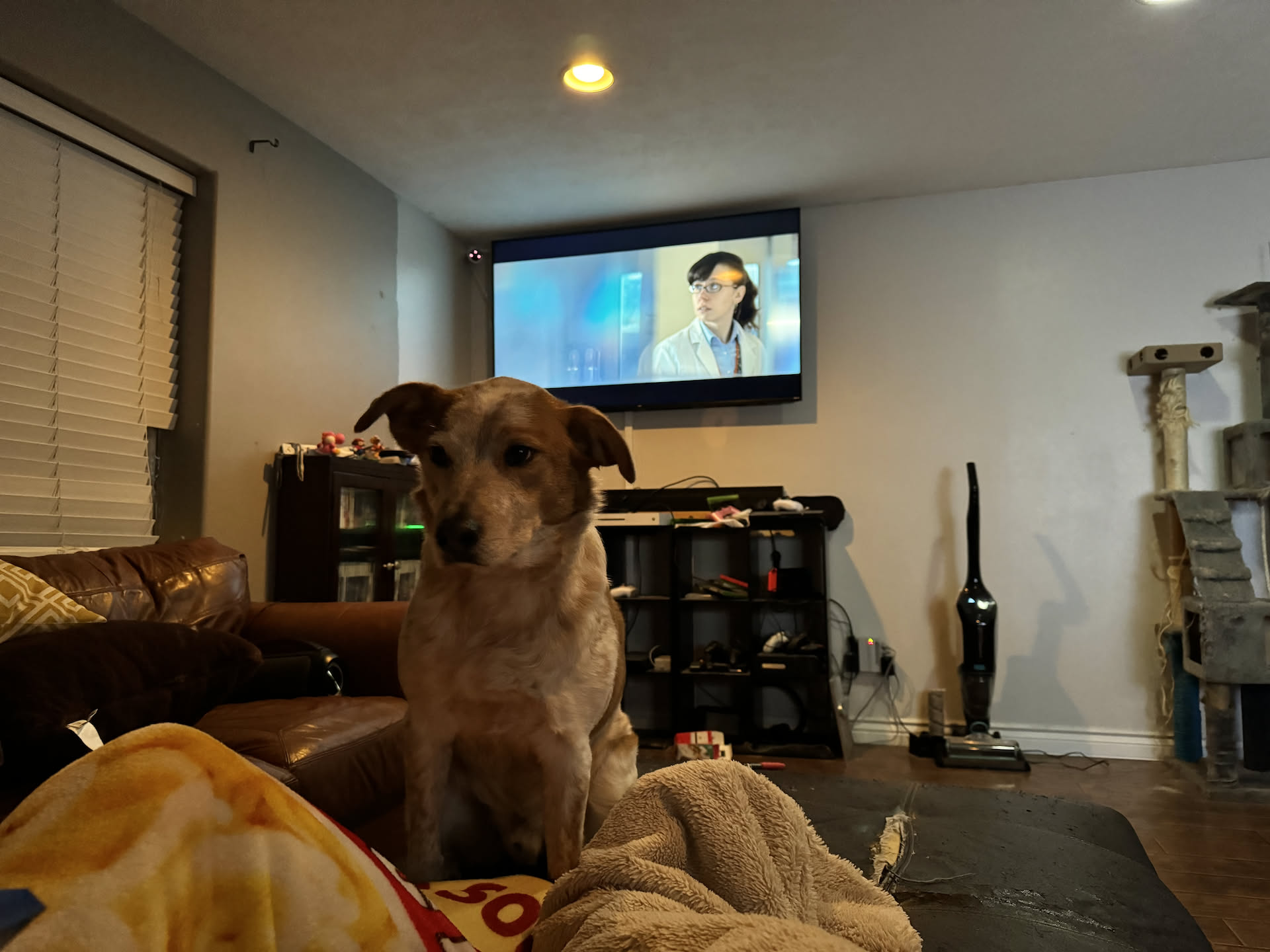 We finished the evening in our pajamas, snuggled in blankets, and watched a movie (the new Venom).