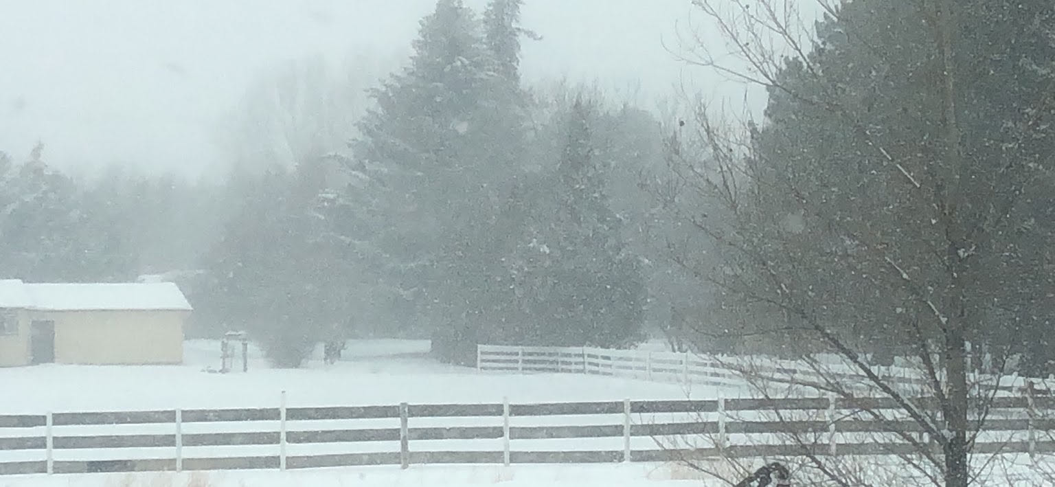 Woke up to the snow falling super heavy.