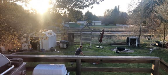 More of me working on the yard… the back yard now. Mowing by hand to try and chew up all the plugs I pulled.