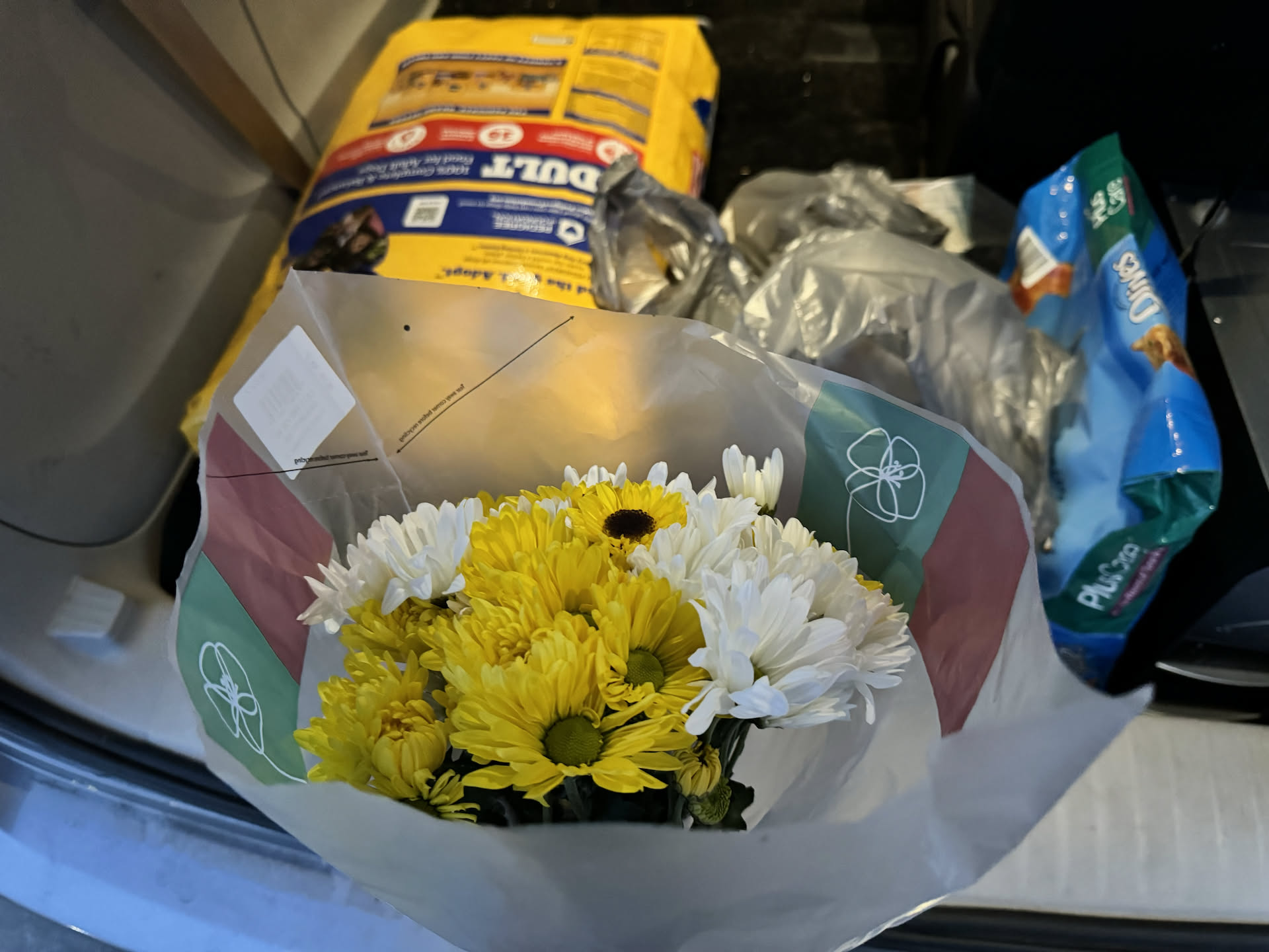 While Nick was at work (he is covering the laundromat tonight) Deanna went shopping, and she decided to get Nick some flowers.