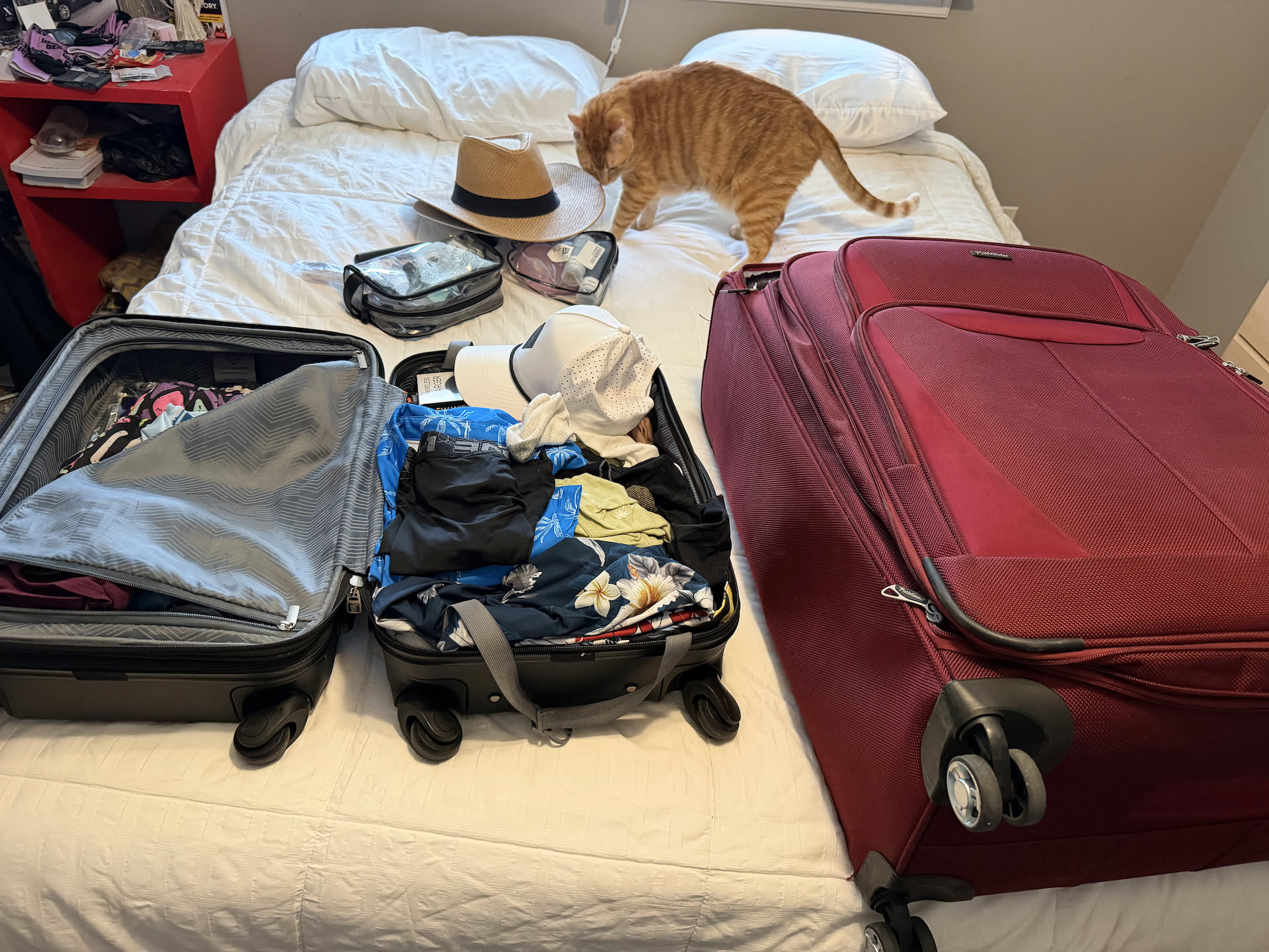 Now the not so fun task of unpacking.