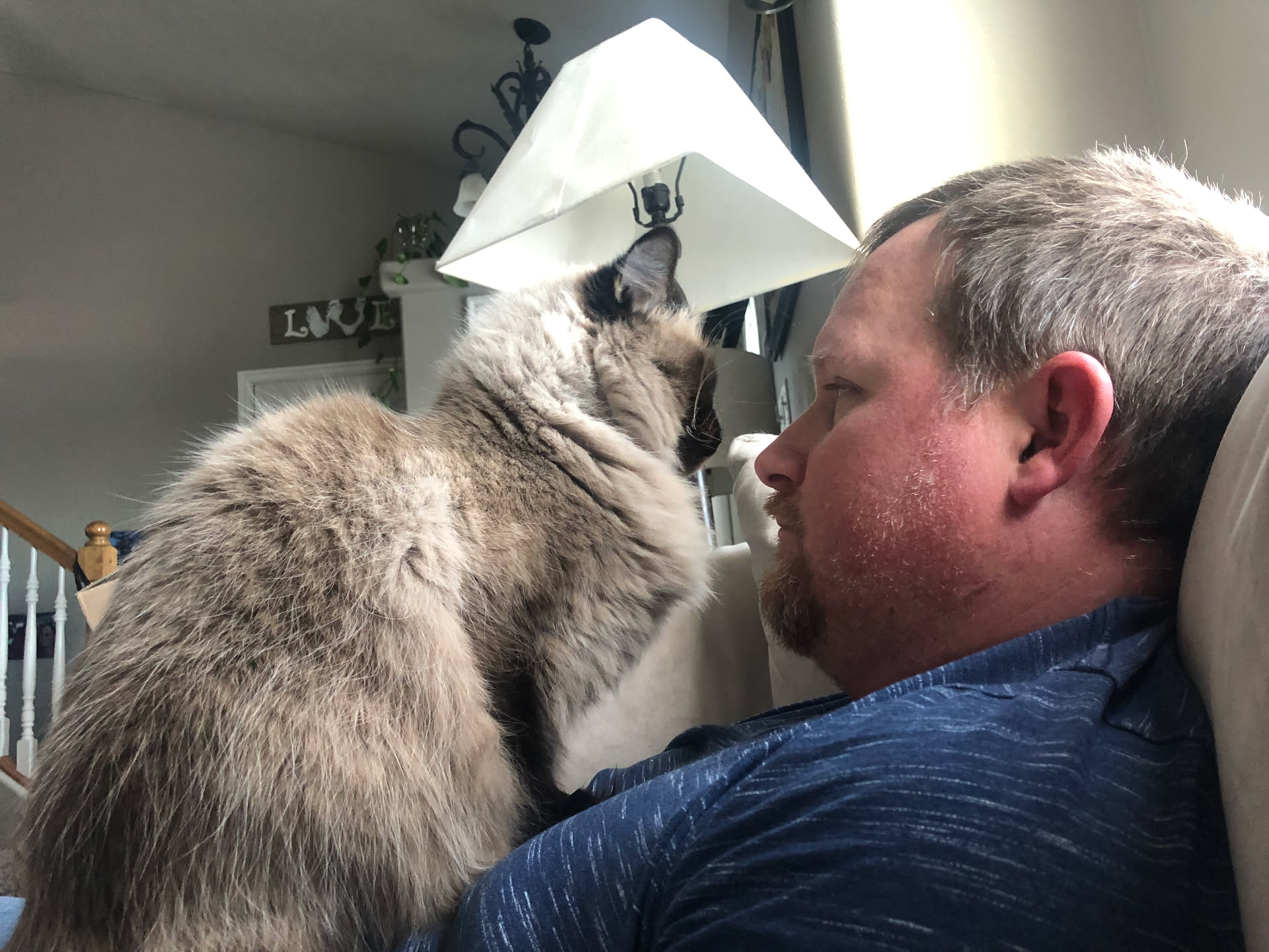 Oakleigh really doesn’t know how to ‘Cat’, she likes to sit on Nick right in his face and scream at him if he touches her lol.