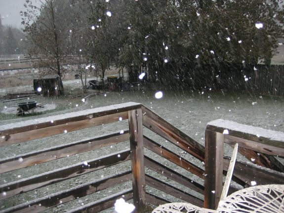 Oh crap, its snowing again.