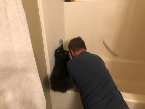 “What mom, we are working!”