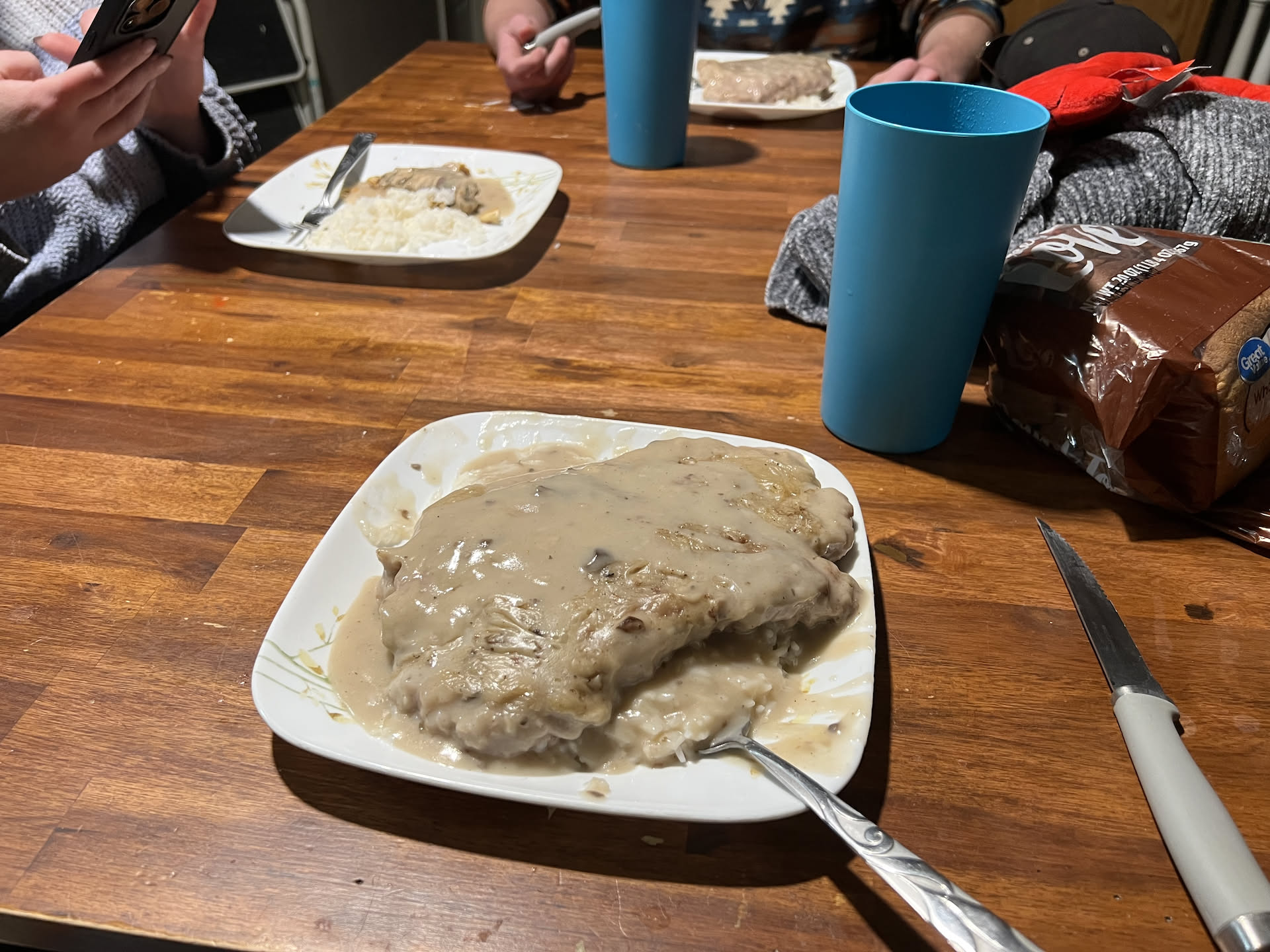 Dinner is served… Nick’s favorite… Pork blade steak, breaded over white rice smothered in cream of mushroom soup…. Mmmmmmmm