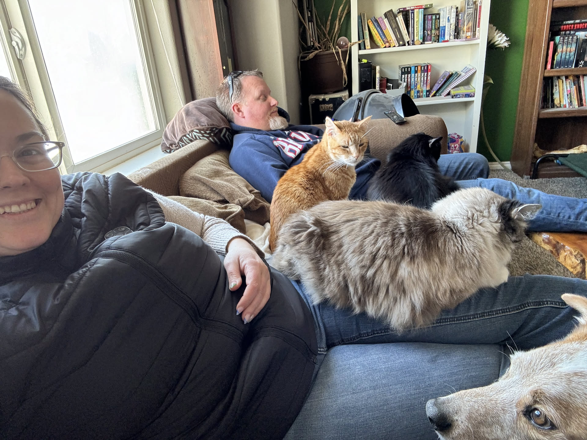 After chores were done, we had about an hour to kill before plans, and it looks like all the animals wanted to join us.