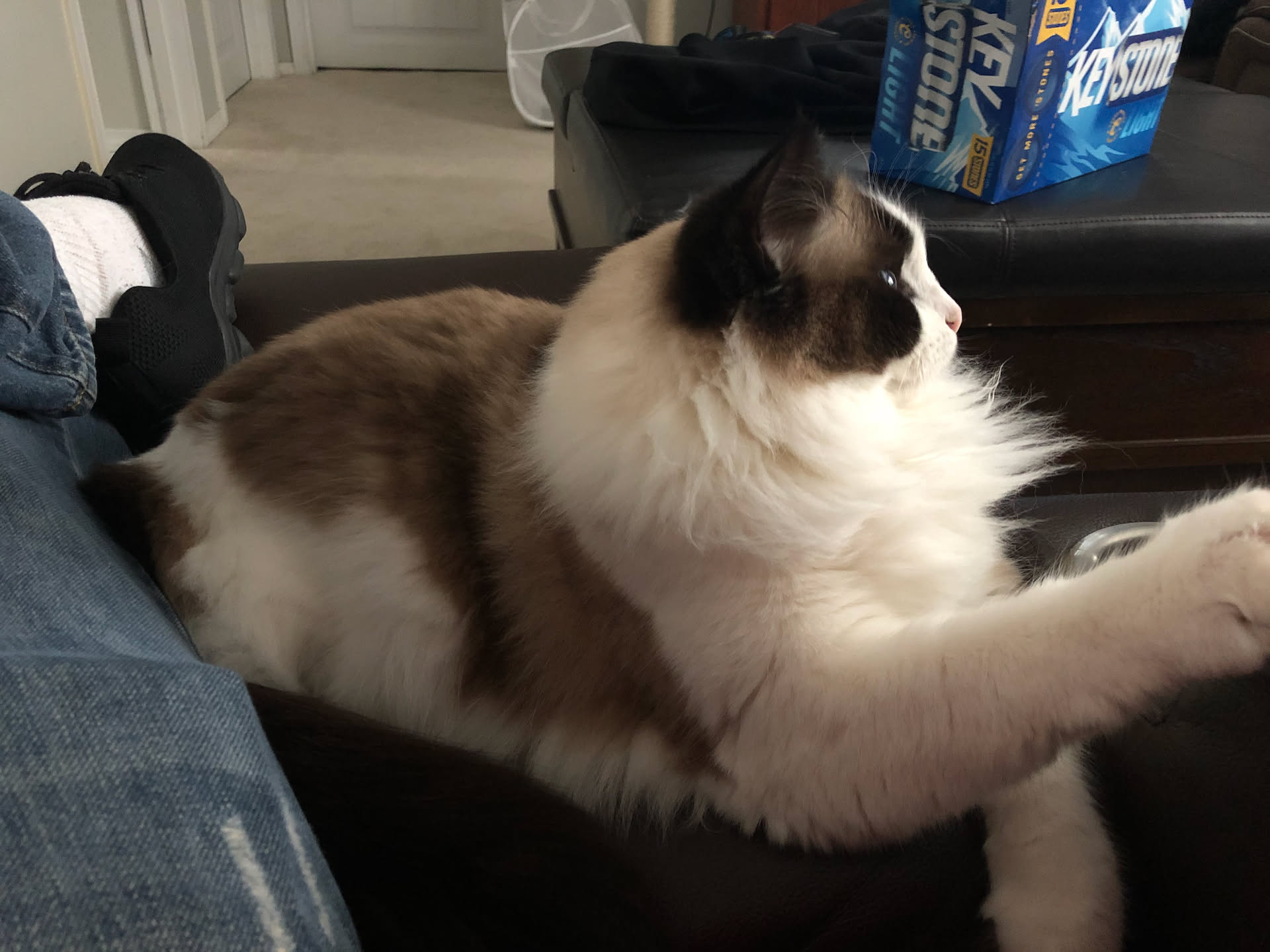 While playing video games – Lilly came up to visit Nick. Tyson couldn’t believe I was able to call her up like that.