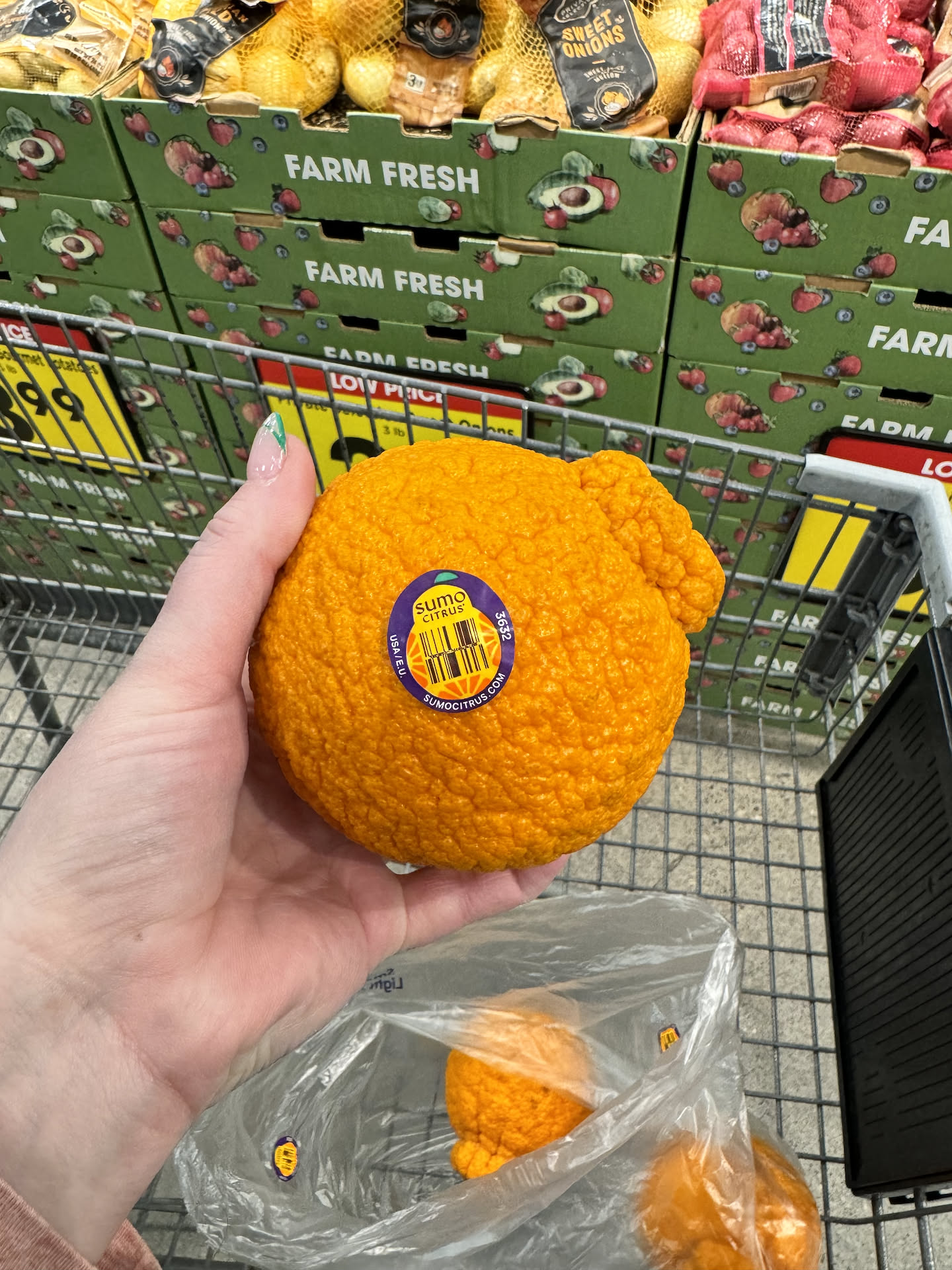Deanna finally found the Sumo oranges she has been looking for.