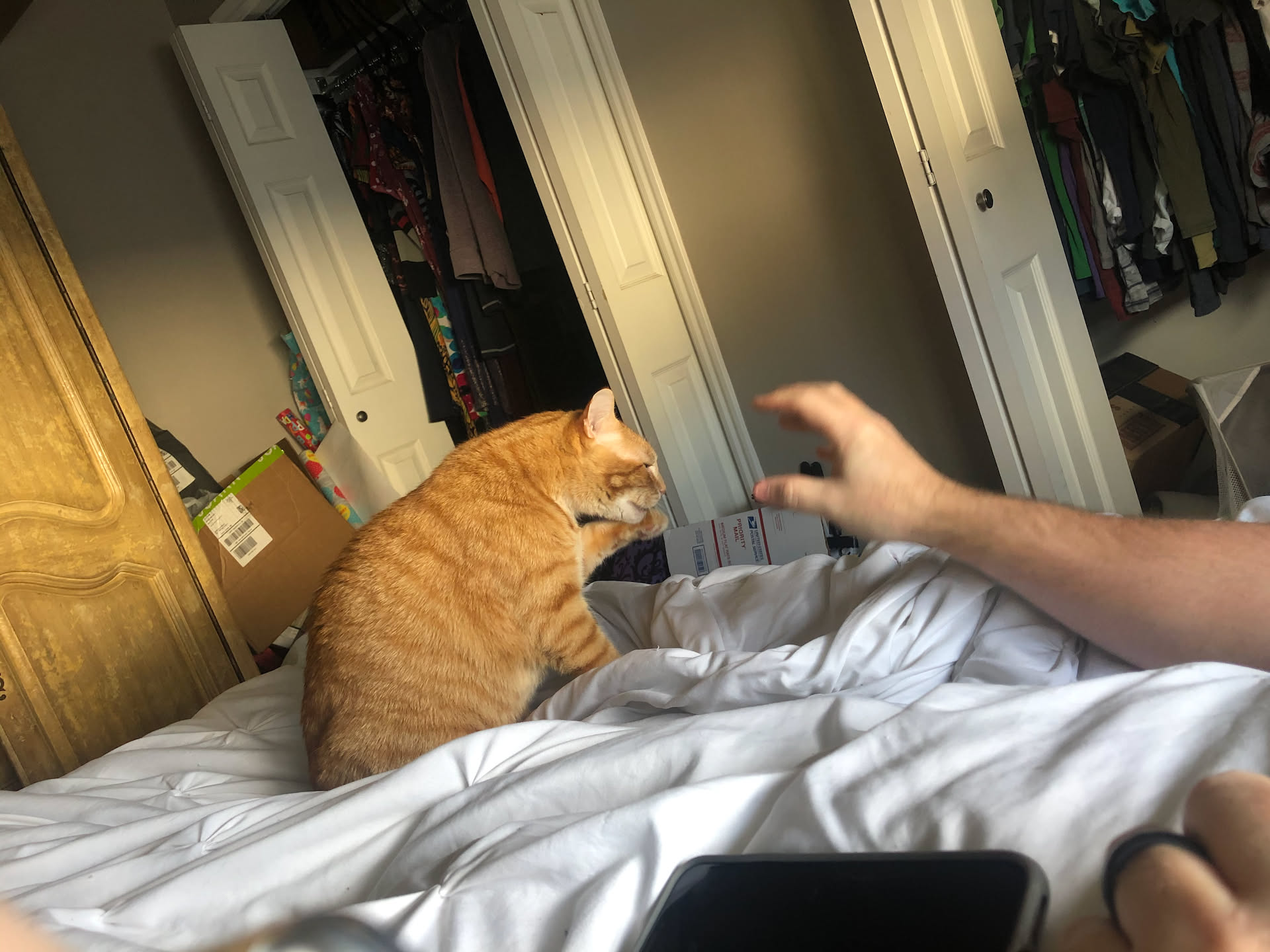 Tater got to sleep with us last night