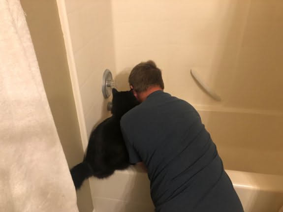 Doing my monthly chore and cleaning out the drain… Gotham thought he would be a big helper.
