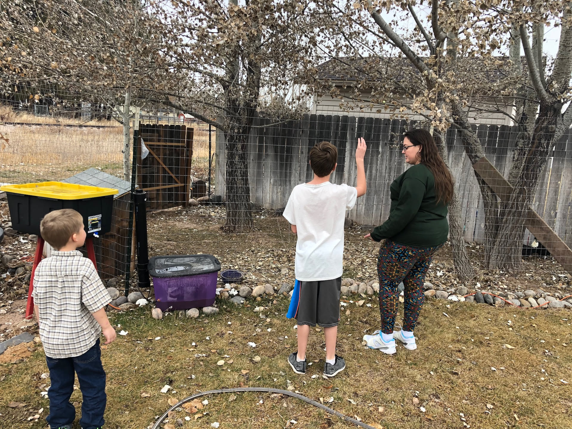 Taking care of the ducks.
