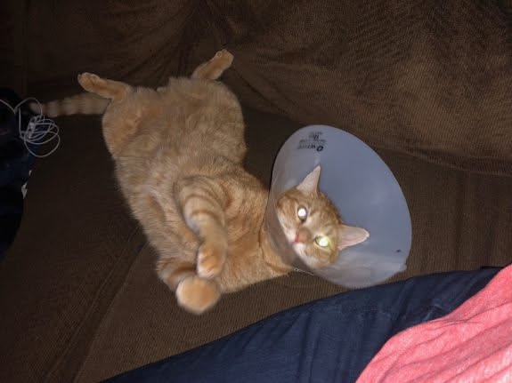 Tater being happy.