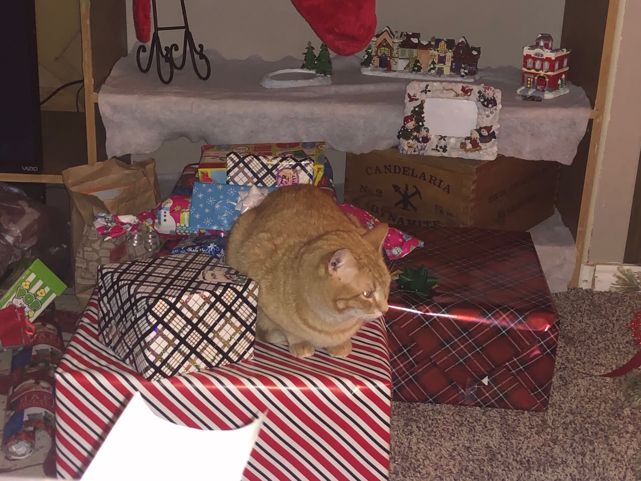 Tater has to be in the middle helping.