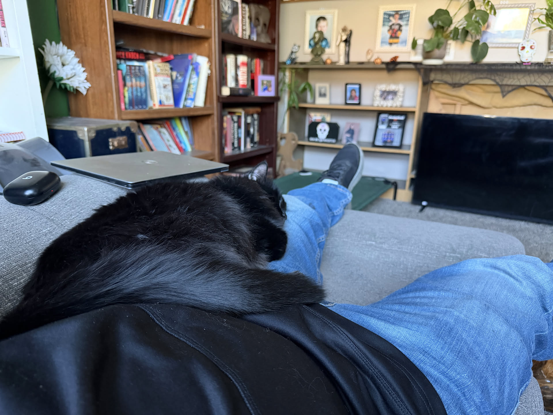 Bruce is snoring he is so out on my leg! lol