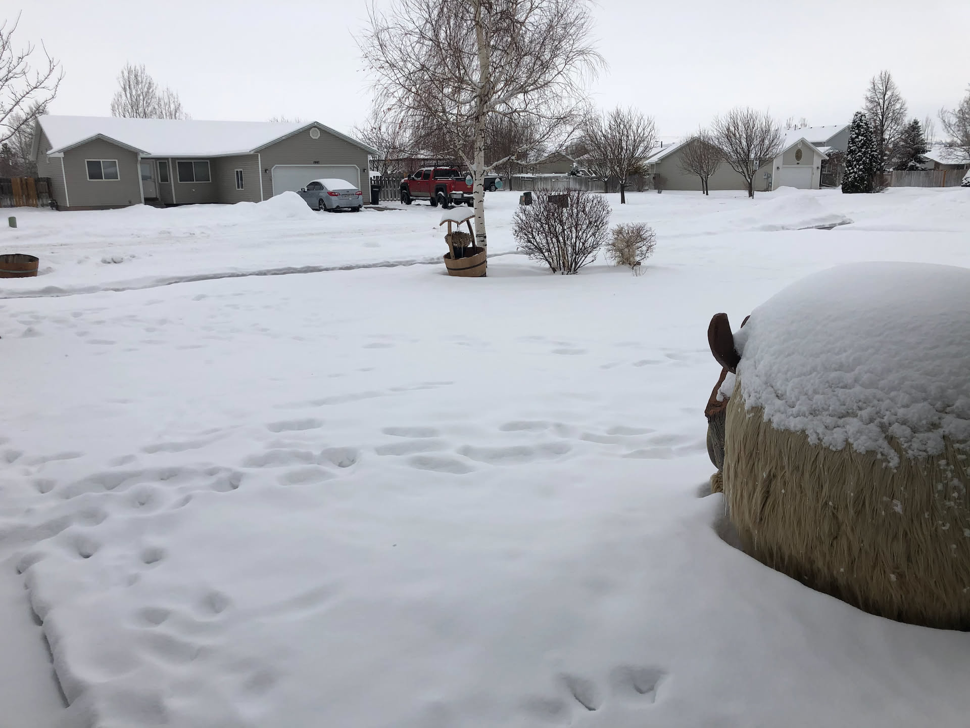 The snow is continuing to pour on us.