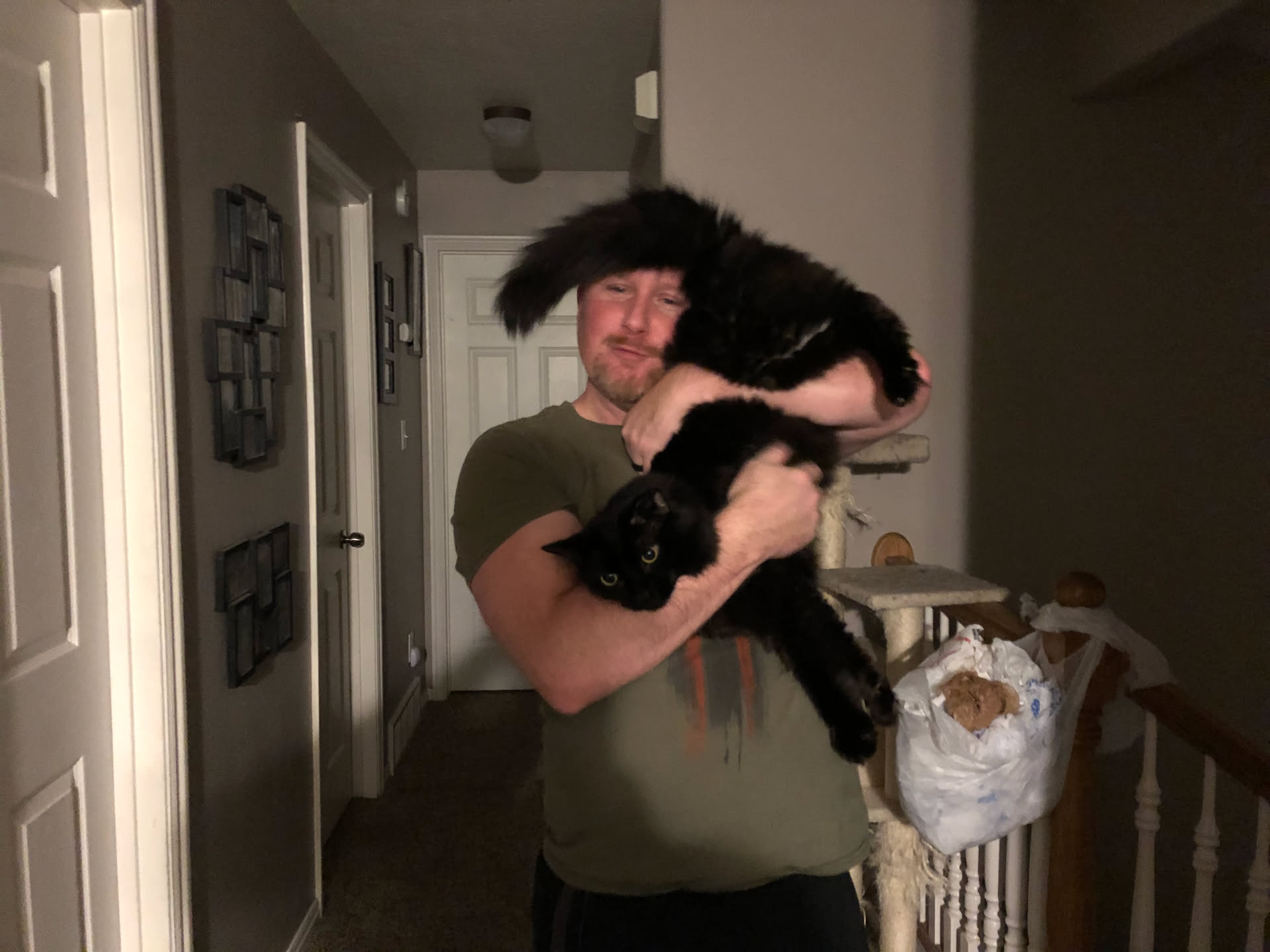 Decided to hold Gotham upside down to see how he would react… he just went with it lol.