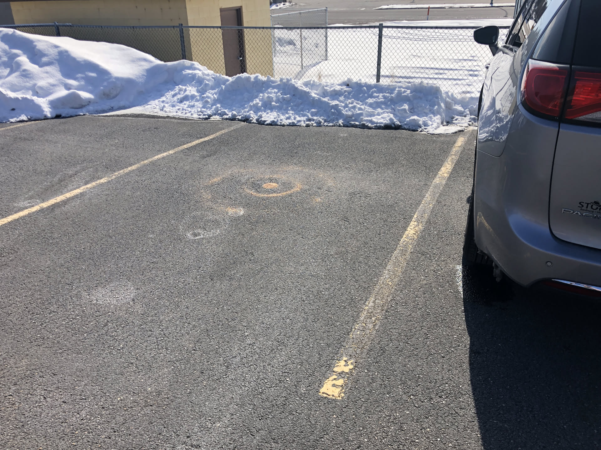 Nick likes to feed the birds out in the parking lot.