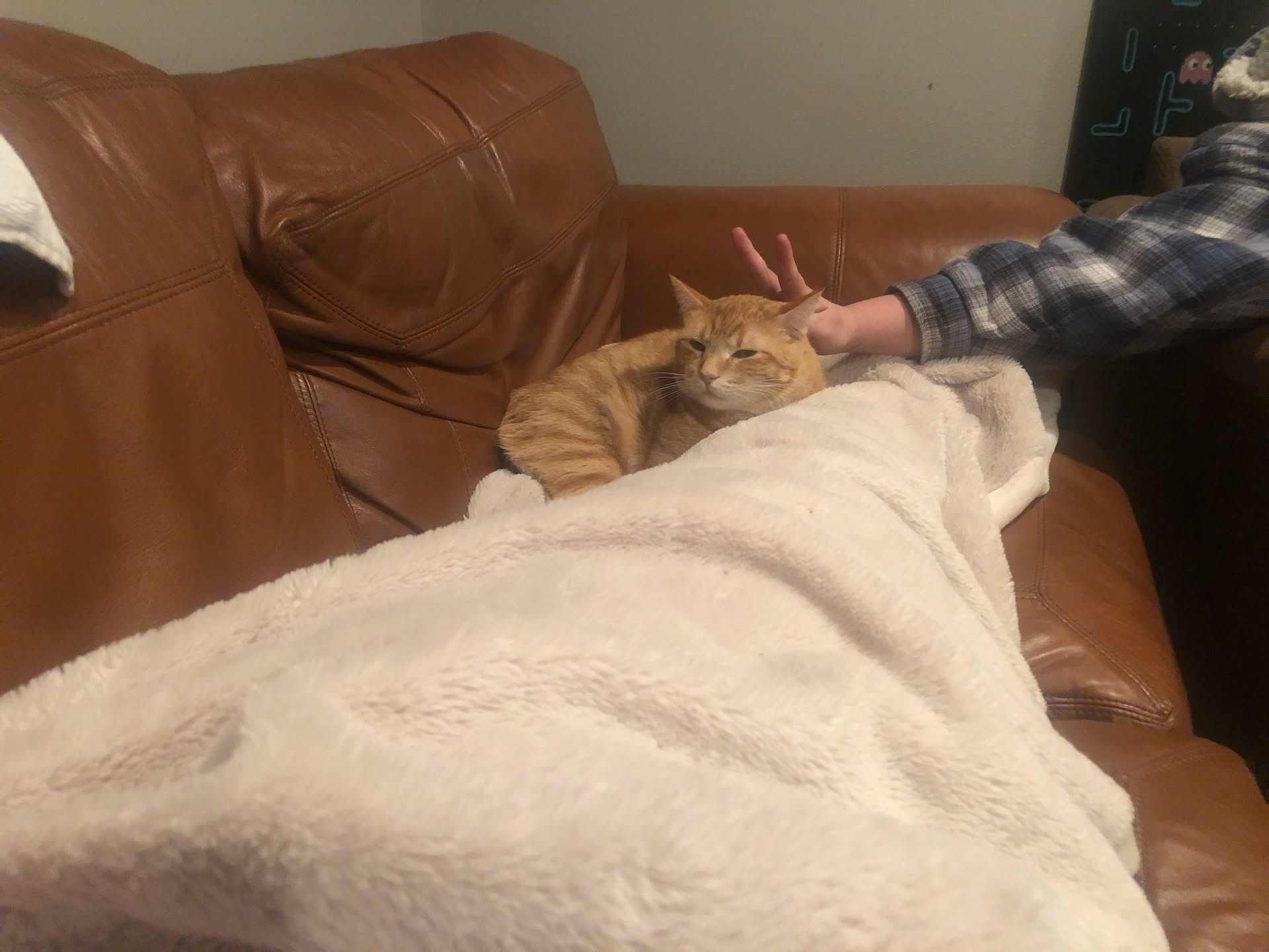 Tater loves to cuddle with mom.
