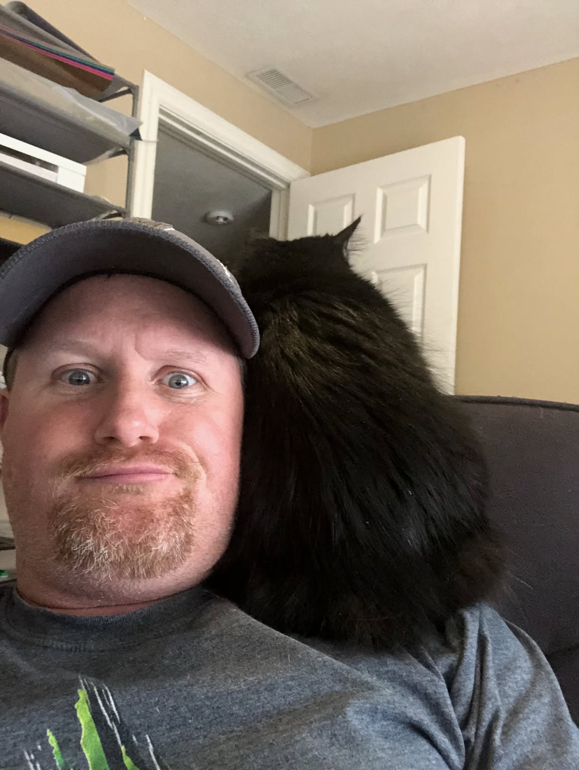 For some reason Pickles found it comfortable to sit on my shoulder.