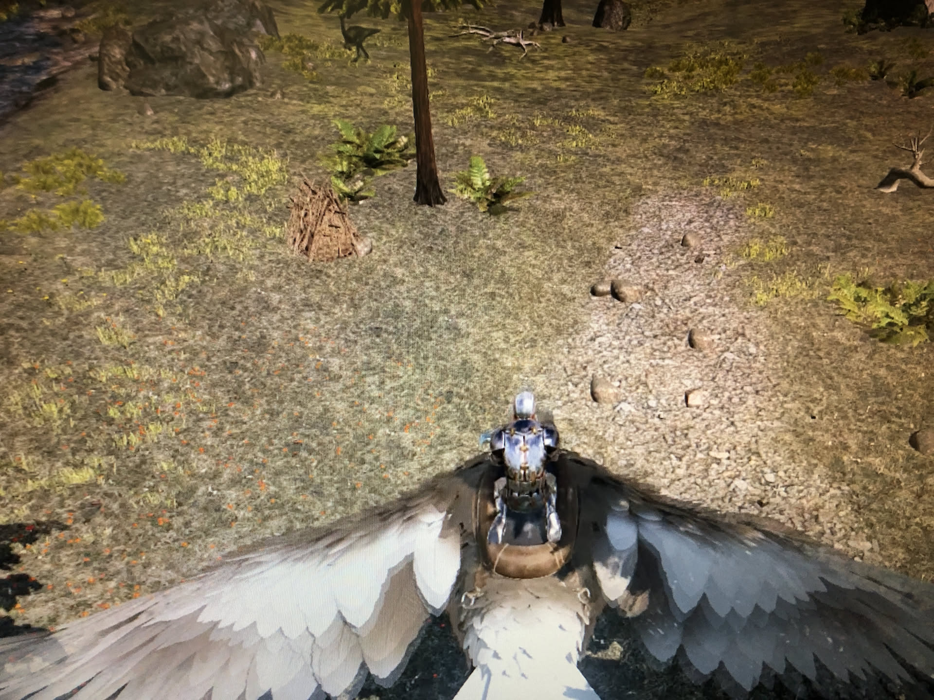 Nick got a little more game play in today… he upgraded with a bird (significant upgrade in the game)… btw, the bird is already dead… Thanks Tyson… I mean Steve!