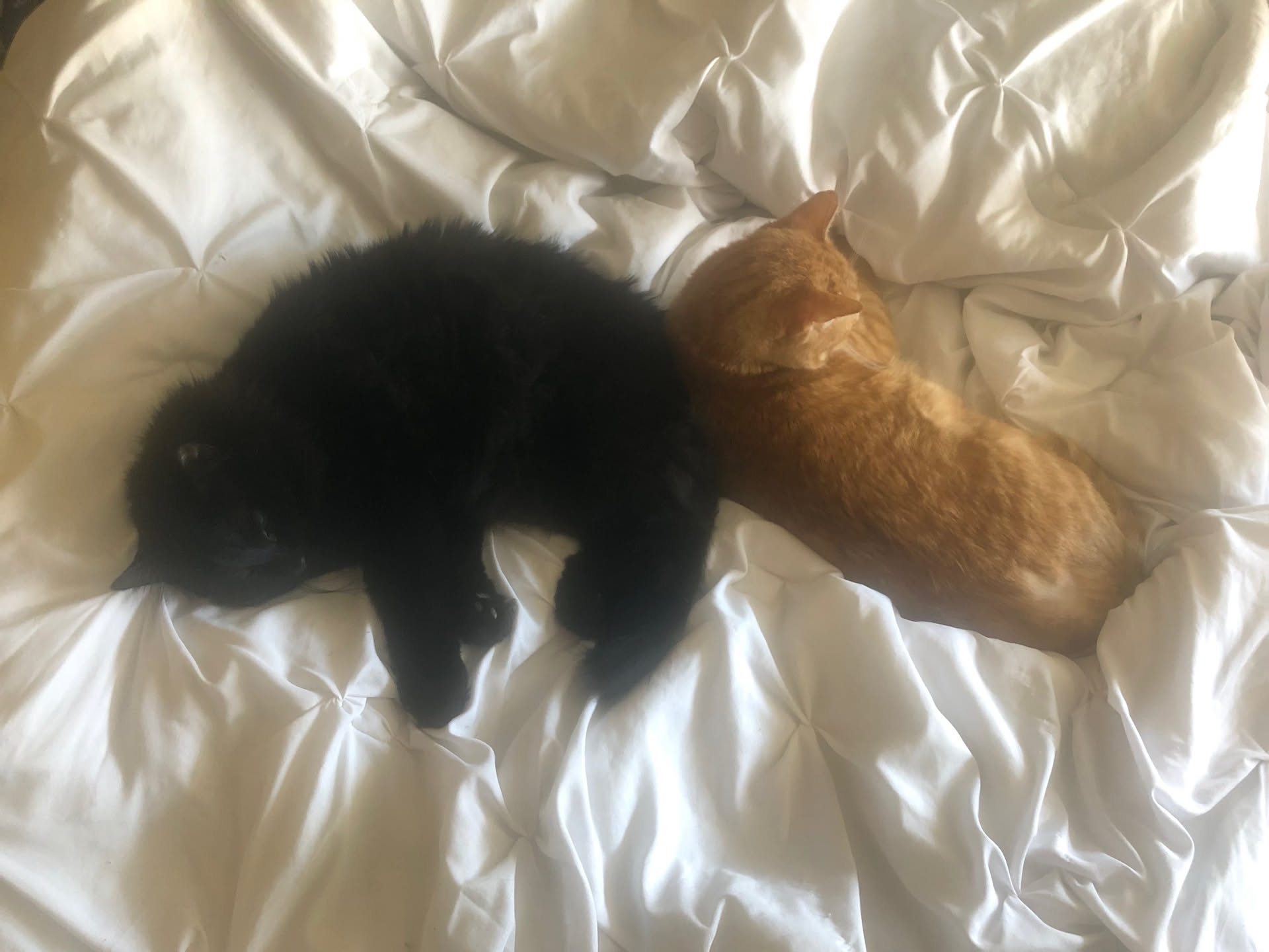 They are really best friends.