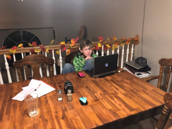 Avery chilling on his laptop.