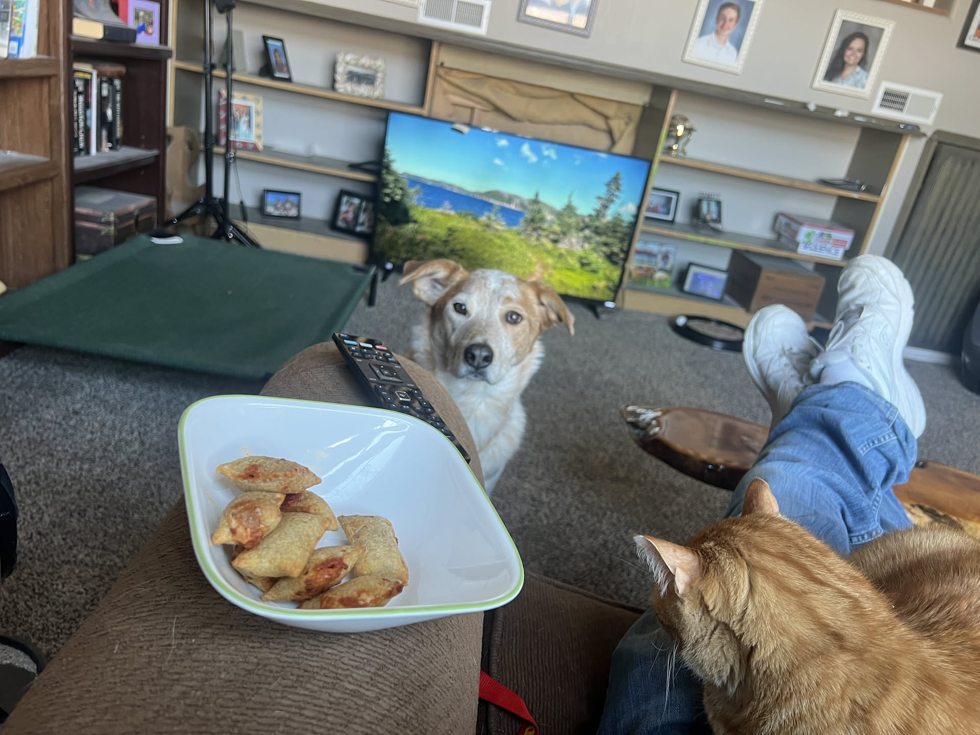Nick made a small snack of some pizza rolls, and the ginger boys come begging for some.