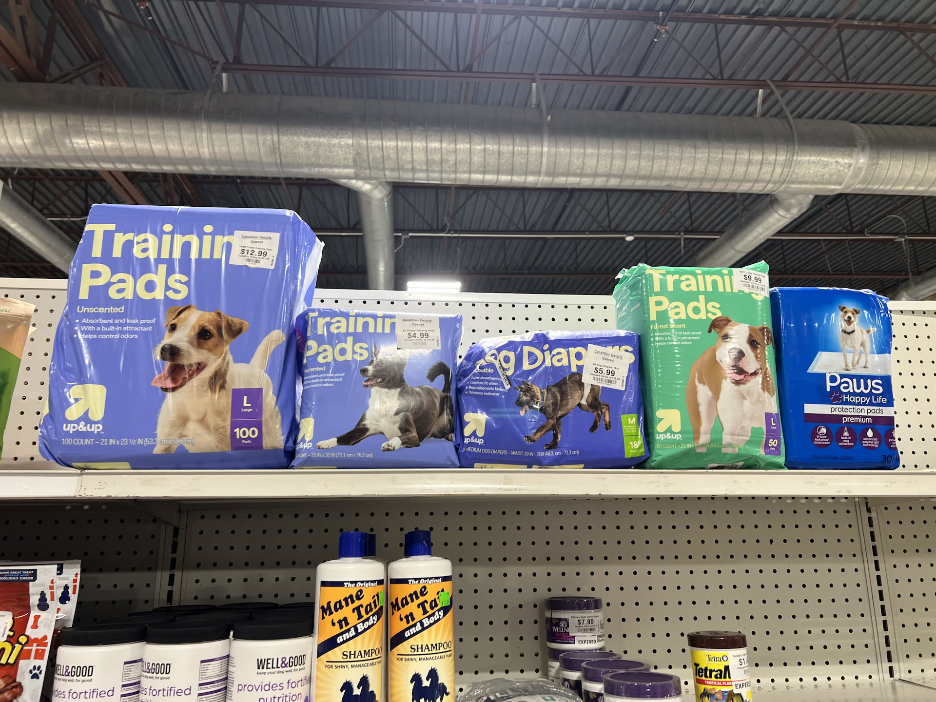 And Nick took a pic to send to his parents, so you all get to look at puppy pads.