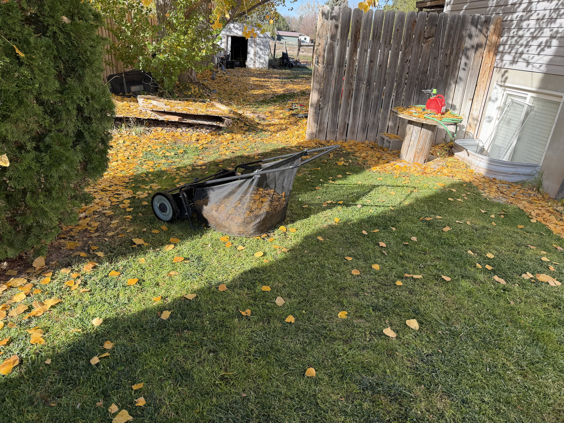 Trying out the new lawn sweeper… what they don’t tell you on TV, 1. Your lawn needs to be mowed and the grass low, 2. Your lawn needs to be relatively even, and 3. You should be a regular gym person to have the strength and energy to push the damn thing!