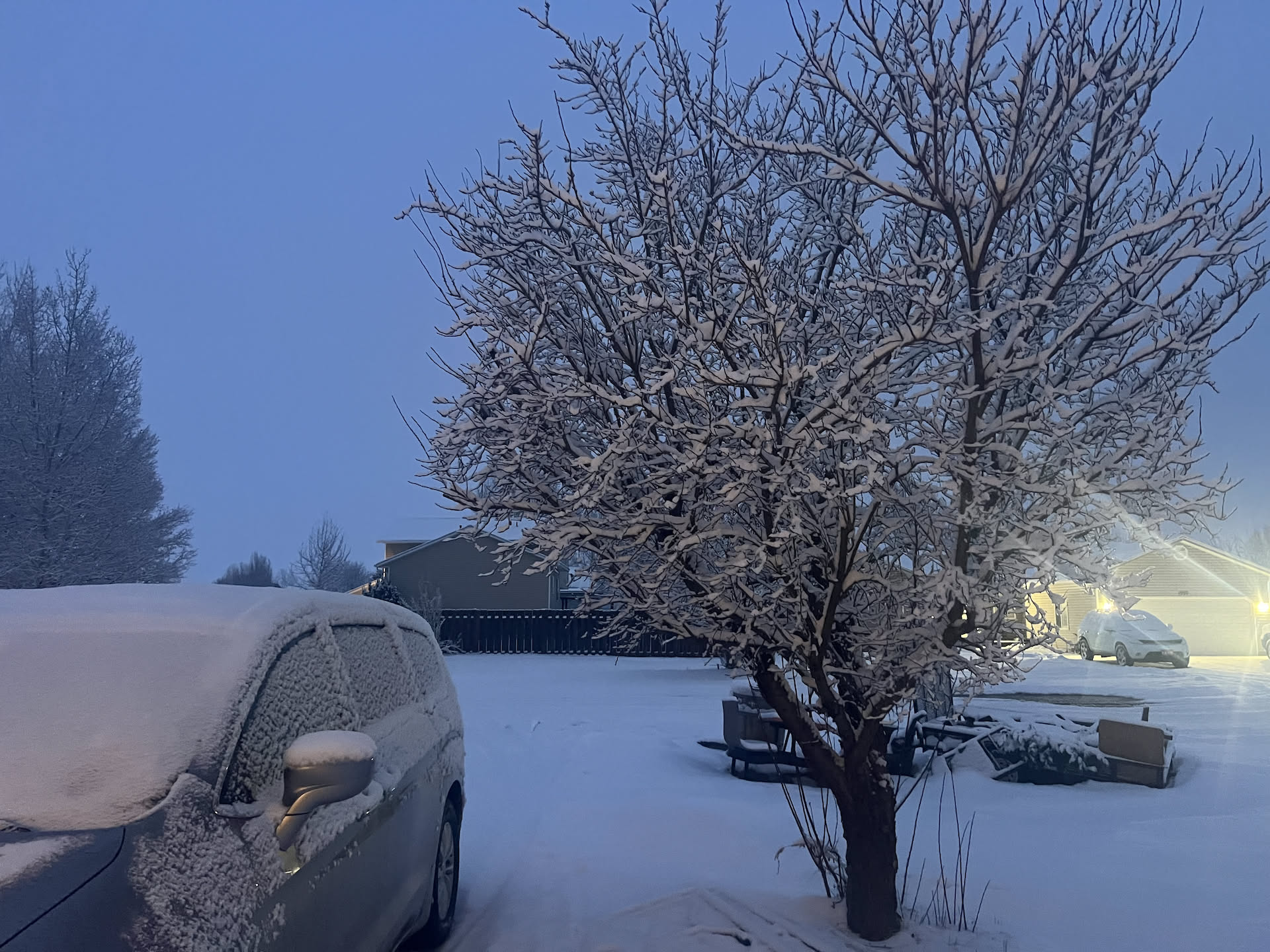 Another cold morning. Had a storm last night.